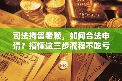济南司法拘留老赖，如何合法申请？搞懂这三步流程不吃亏！