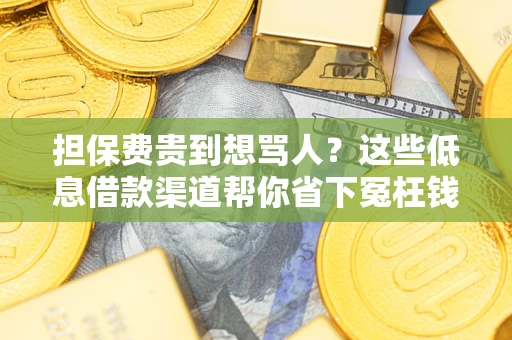 济南担保费贵到想骂人？这些低息借款渠道帮你省下冤枉钱