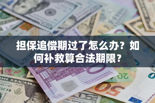 济南担保追偿期过了怎么办？如何补救算合法期限？